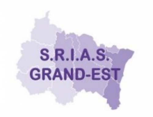 Présentation de la SRIAS Grand Est (Action Sociale) octobre 2019